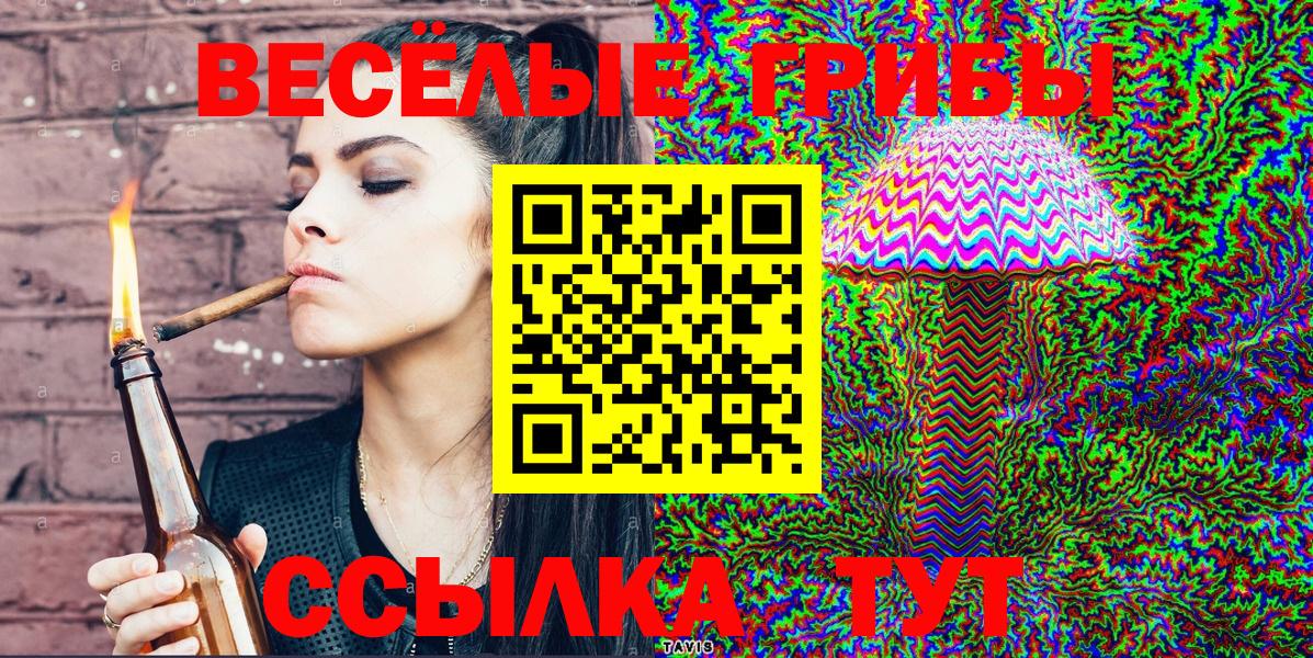 Зерноград  наркотики  Вход с VPN  Галлюциногенные грибы мухоморы 